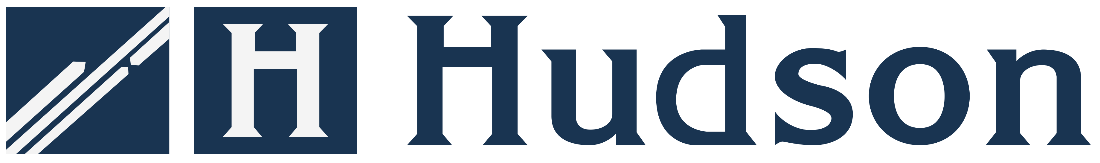 Logo Hudson